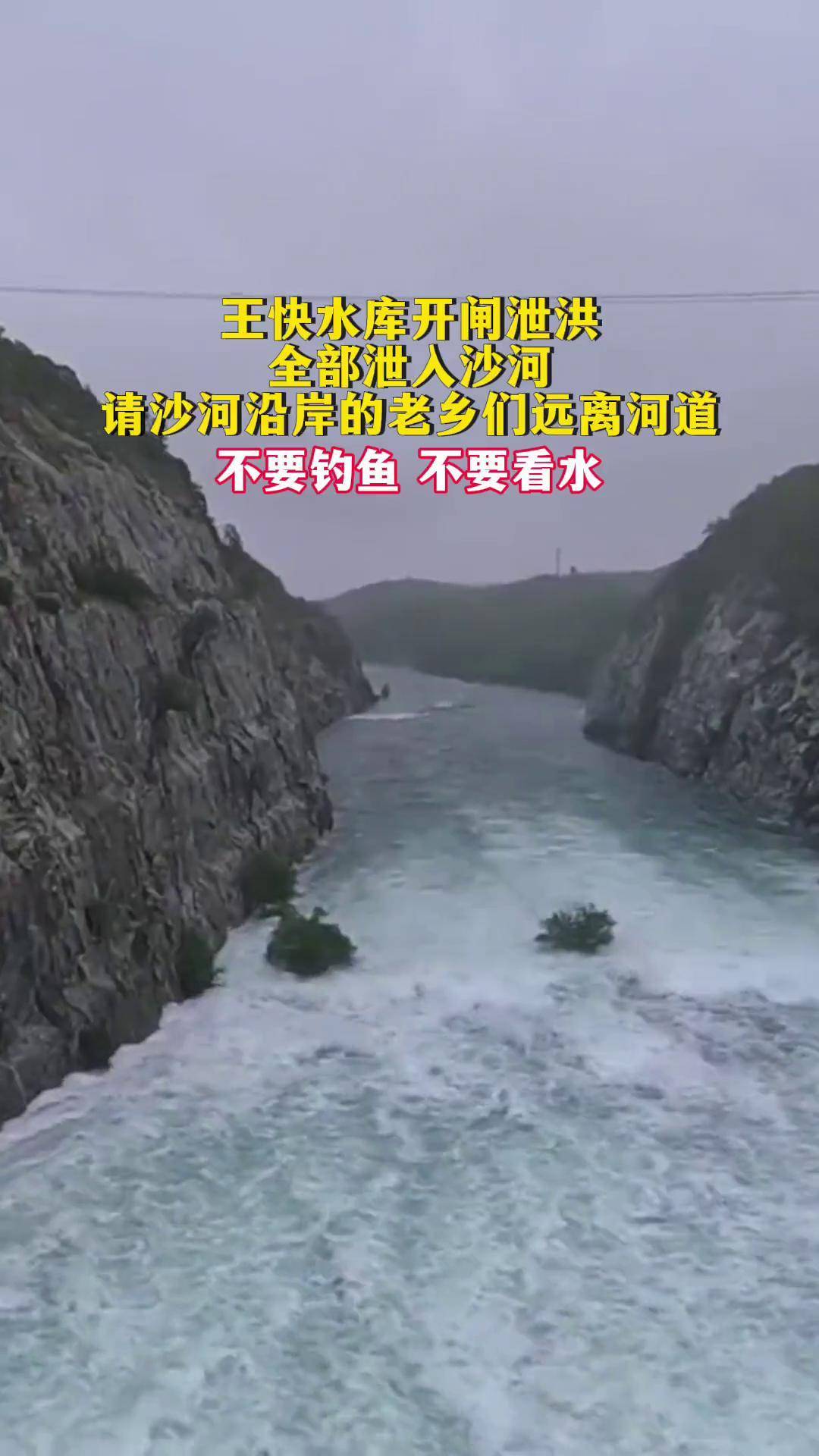 全部泄入沙河,请沙河沿岸的老乡们远离河道王快水库 泄洪 沙河 定州