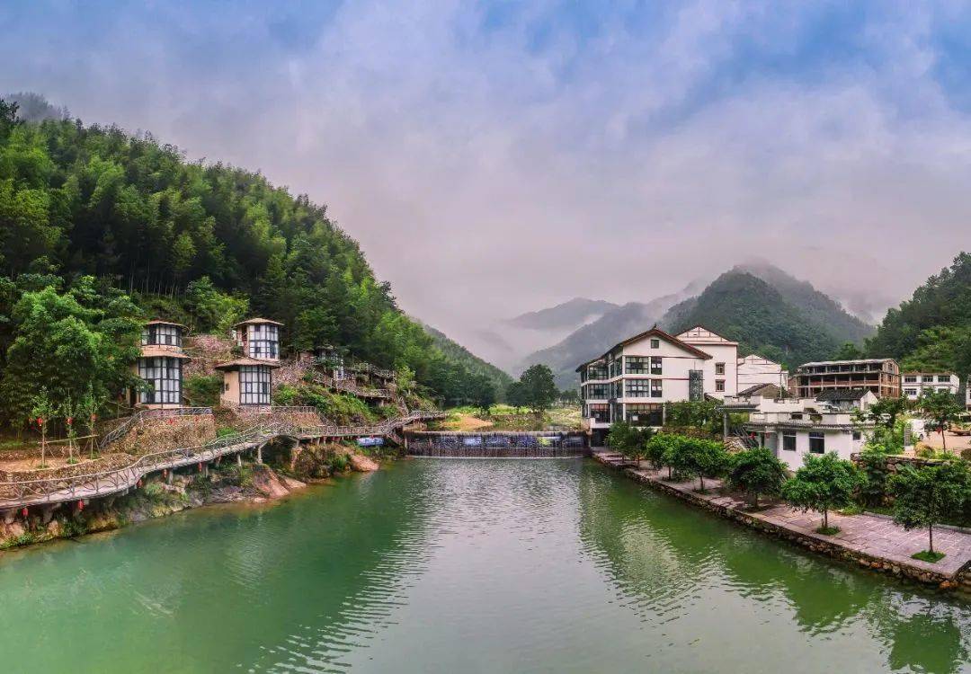 红的热烈,绿的清凉,平阳的山野会知道答案~_苏步青_数学_乡村