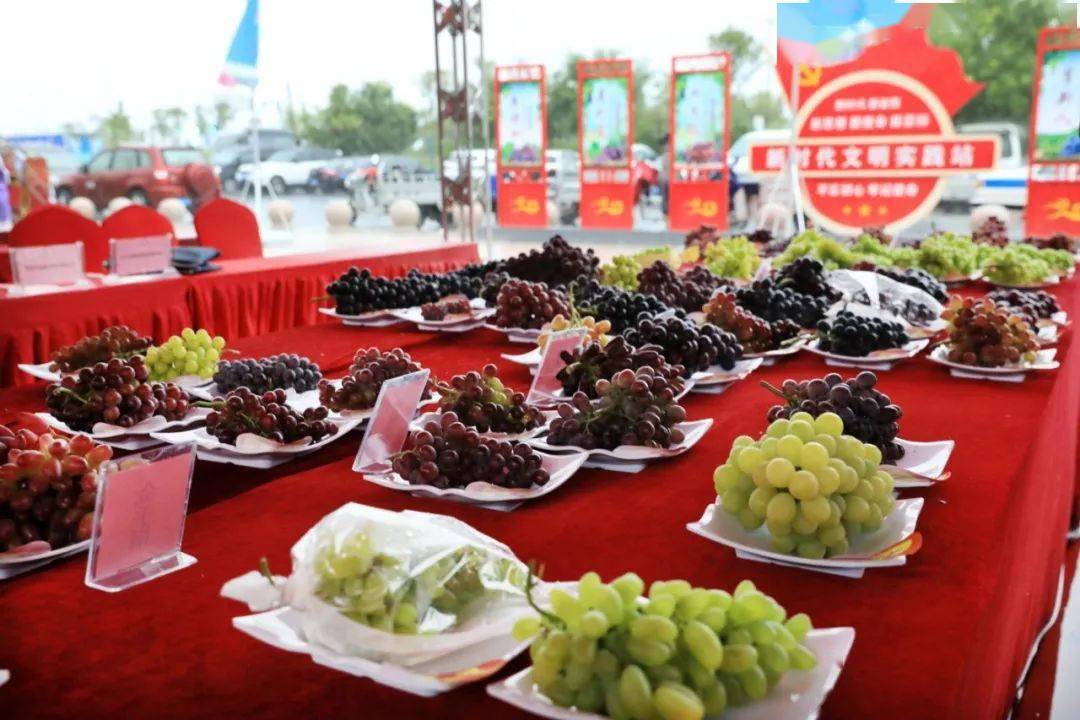 520安徽文旅惠民消费季▕ 淮北市第八届段园葡萄采摘节即将开幕_活动