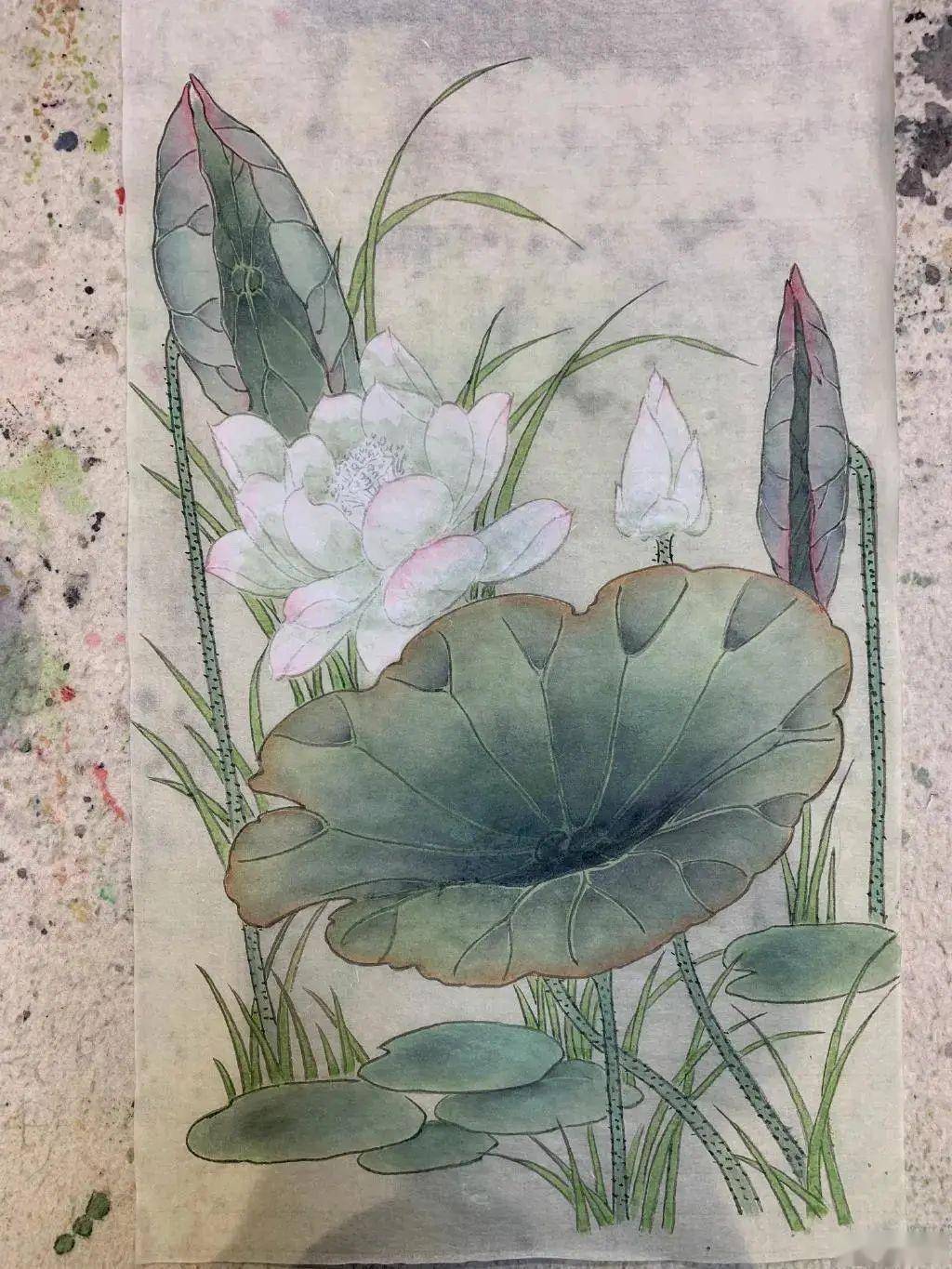 天啊,这也太美了吧,夏雨画的工笔意境深远,笔法苍劲,设色明暗有序