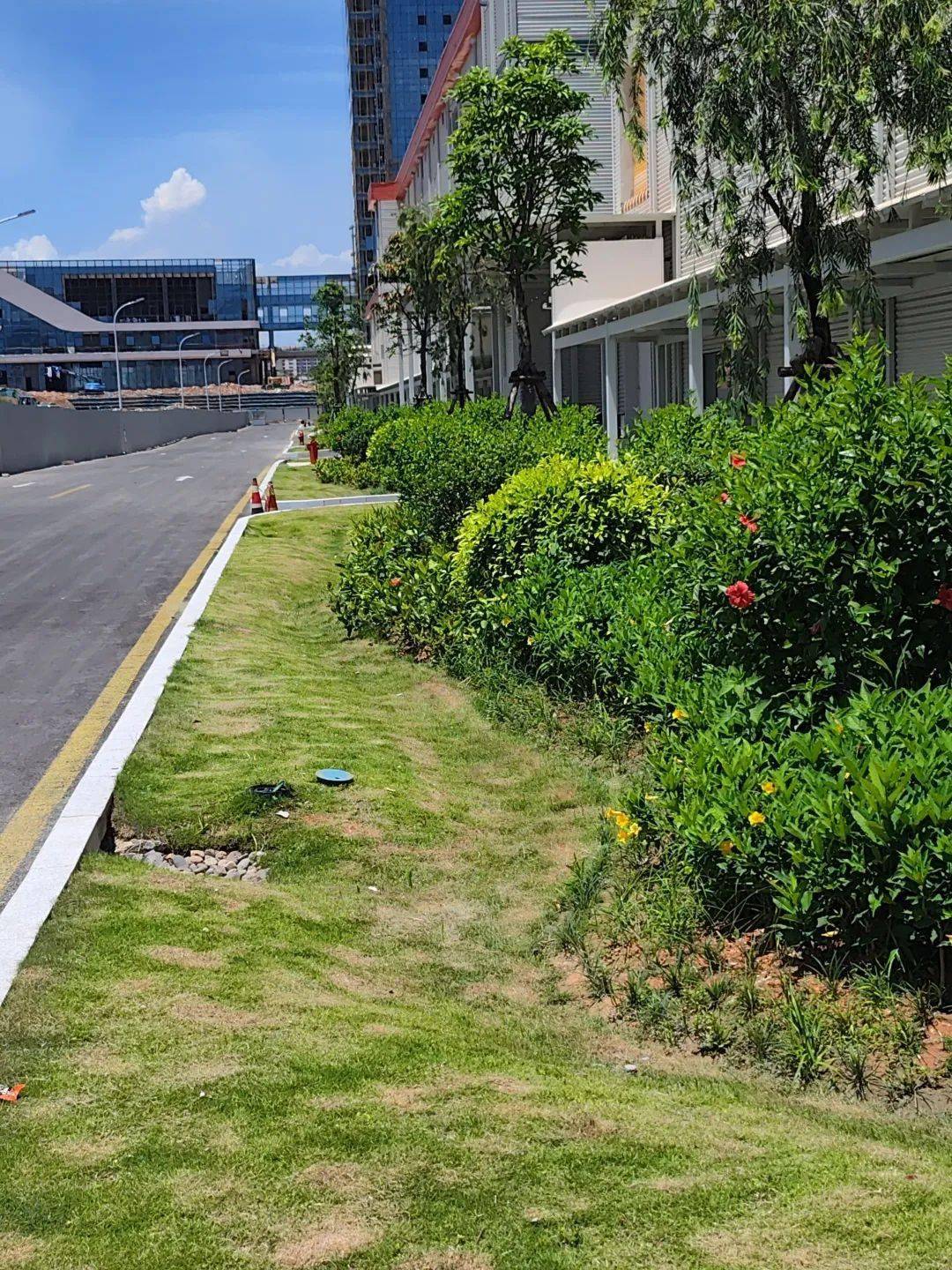 道路拐角绿化效果图图片