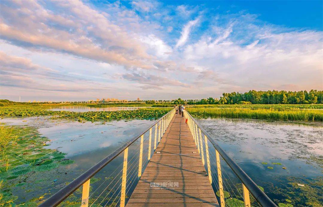 全市三天天气预报