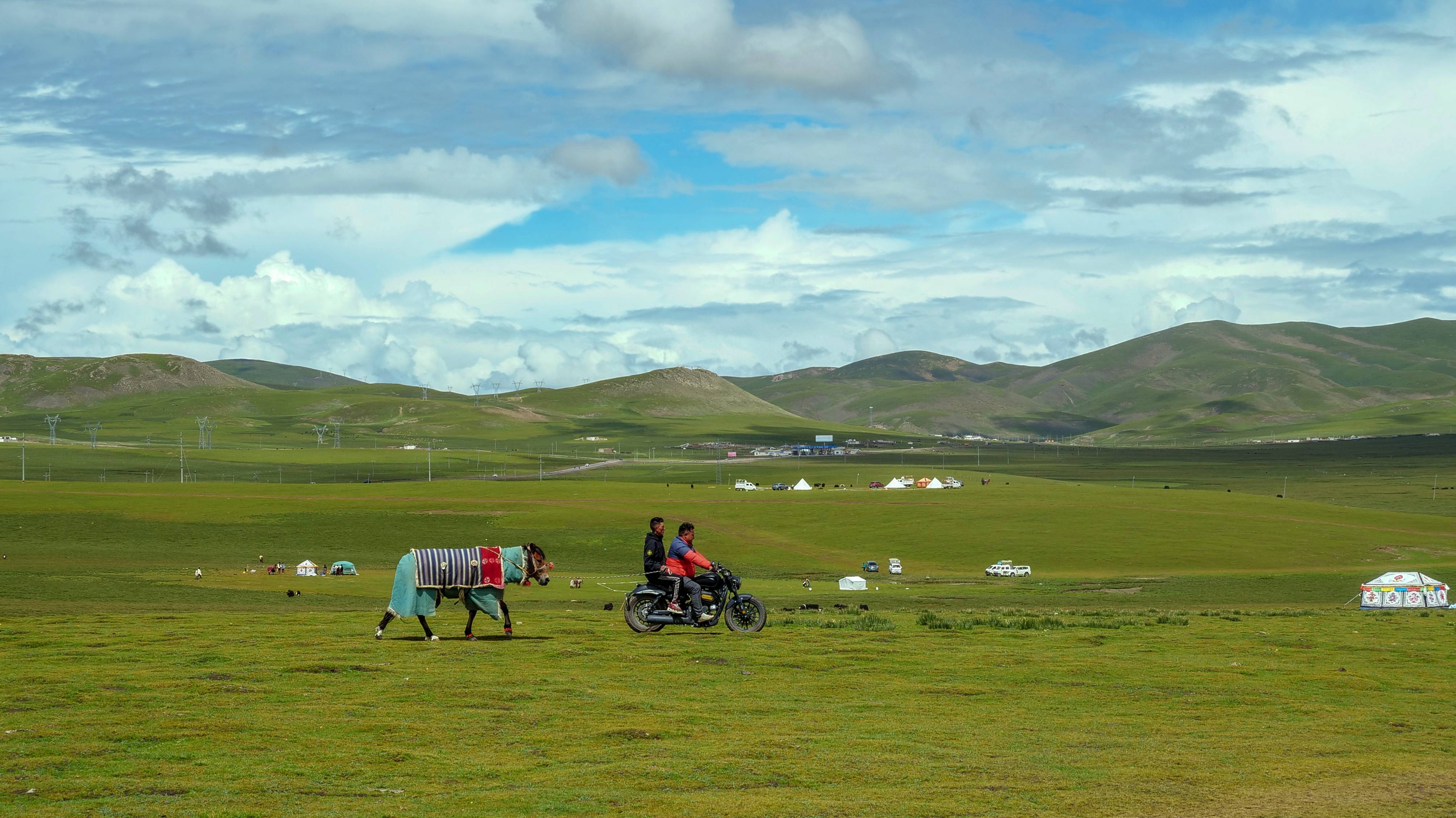 (美丽中国)羌塘草原景色美_新华社_旦增努布_风景