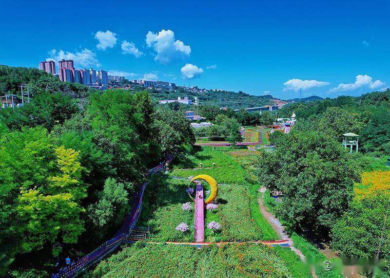 指纹梯田,梦幻花海,19°的清凉都有_湖景区_宜君县_旱作