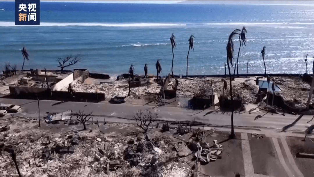 夏威夷野火遇难人数升至89人,火灾前后对比图触目惊心,中国游客讲述