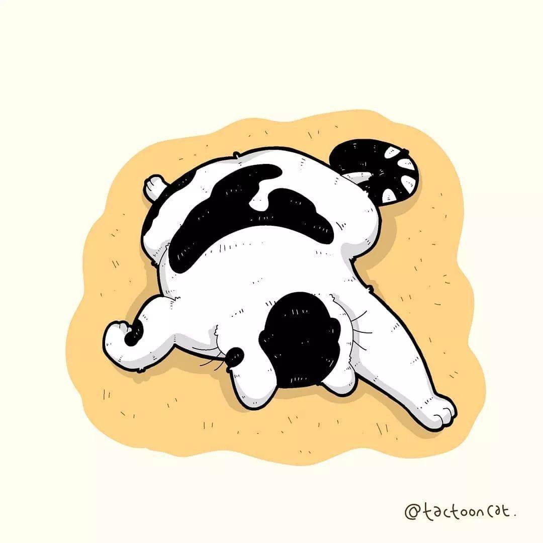沙雕逗比的猫咪插画,每一张都让你笑到肚子疼!_santoso_rocky_作品
