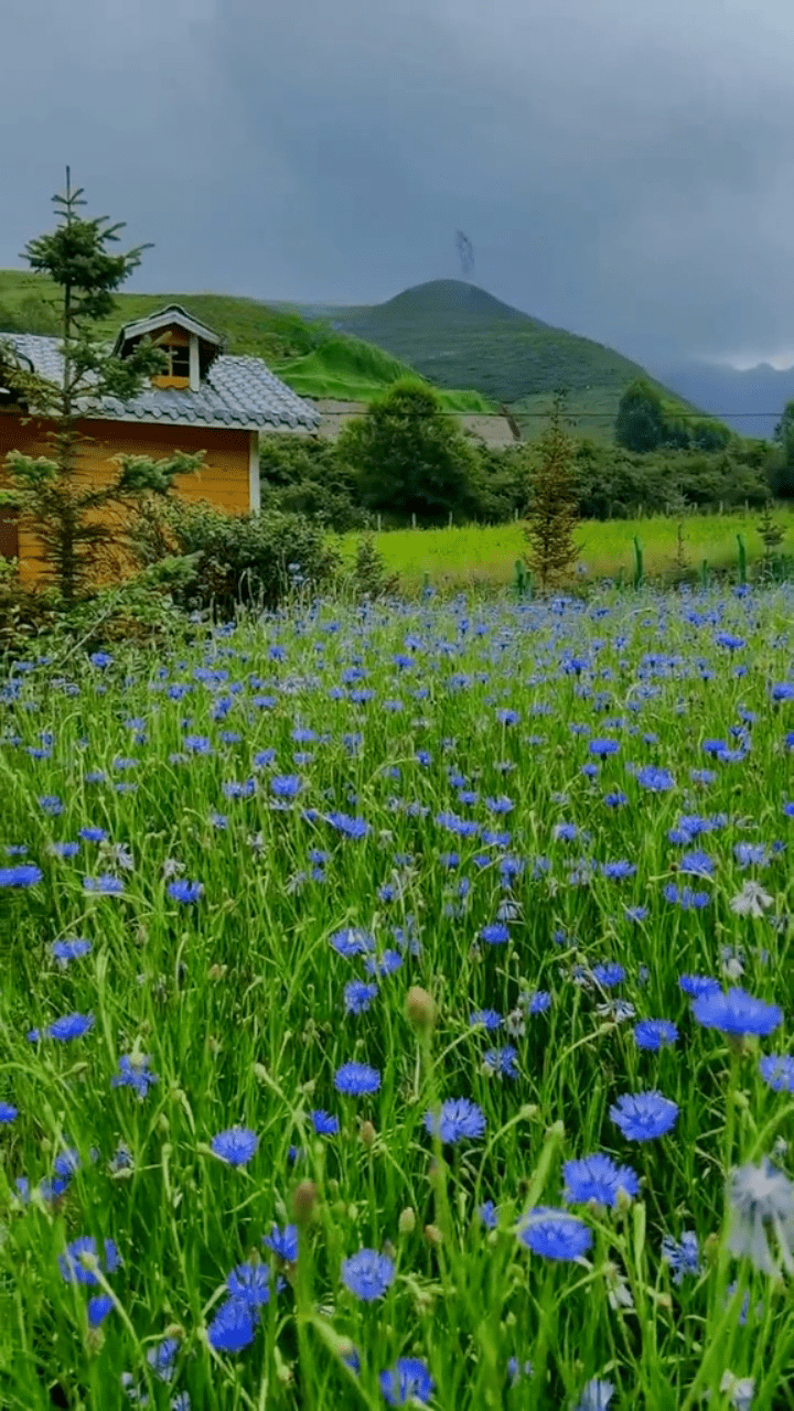 沟寺景区仓家峡森林公园瞿昙寺小故宫卯寨景区青海河湟碑林柳湾彩陶博