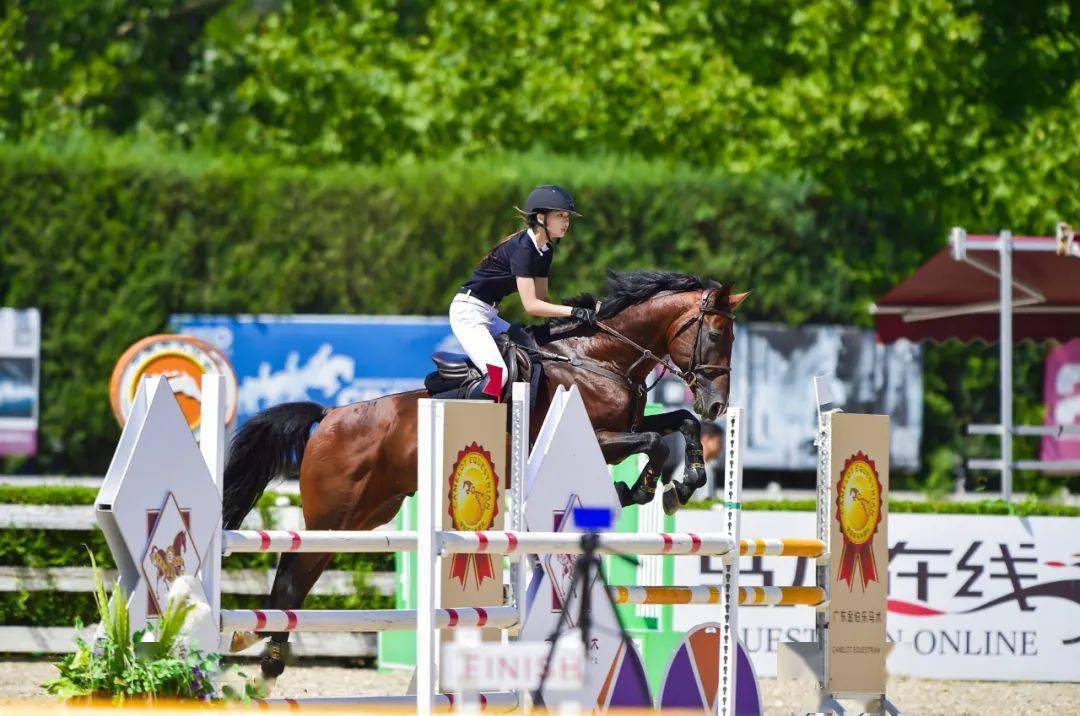 战报| 2023超级马术俱乐部联赛(北京天星调良马术第7站)成绩公示_马匹