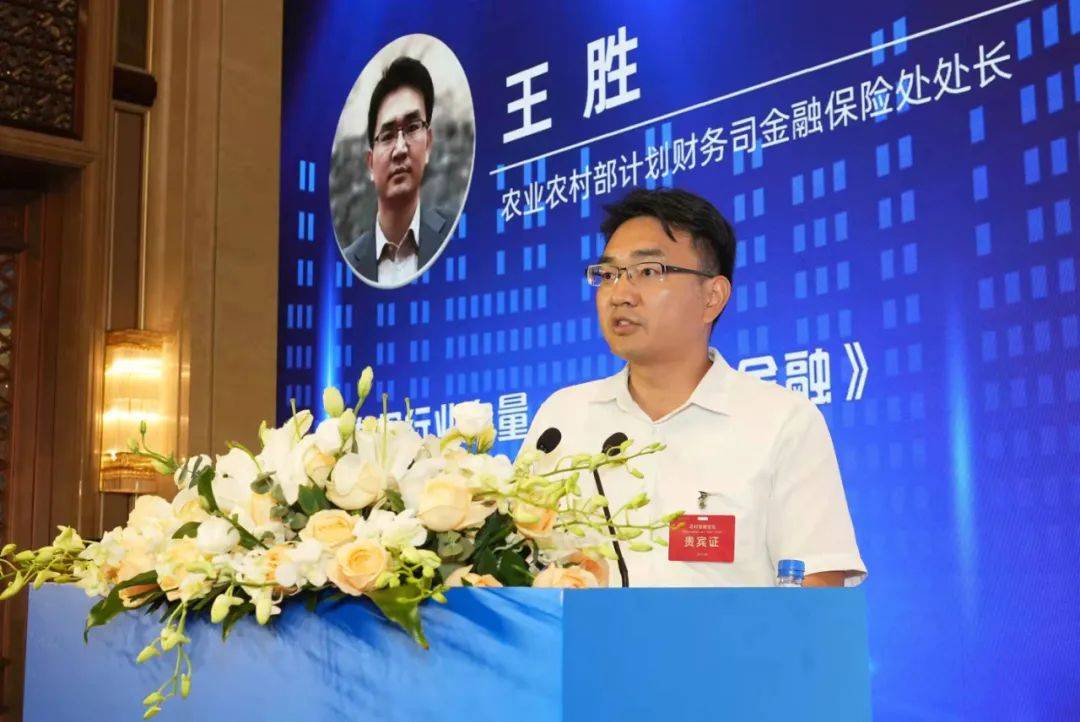 经济前瞻论坛2023年会丨王胜:从五个维度赋能农村金融服务体系建设_农村部_农业