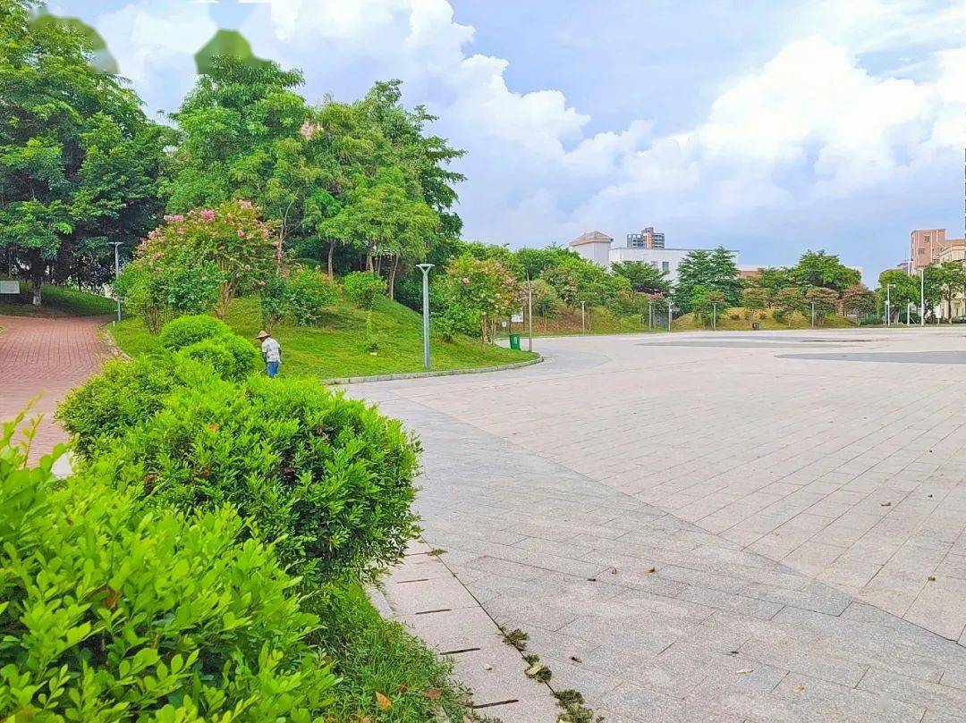 九潭要新建一个公园,附近的街坊有福啦!_园洲镇_建设_幸福感