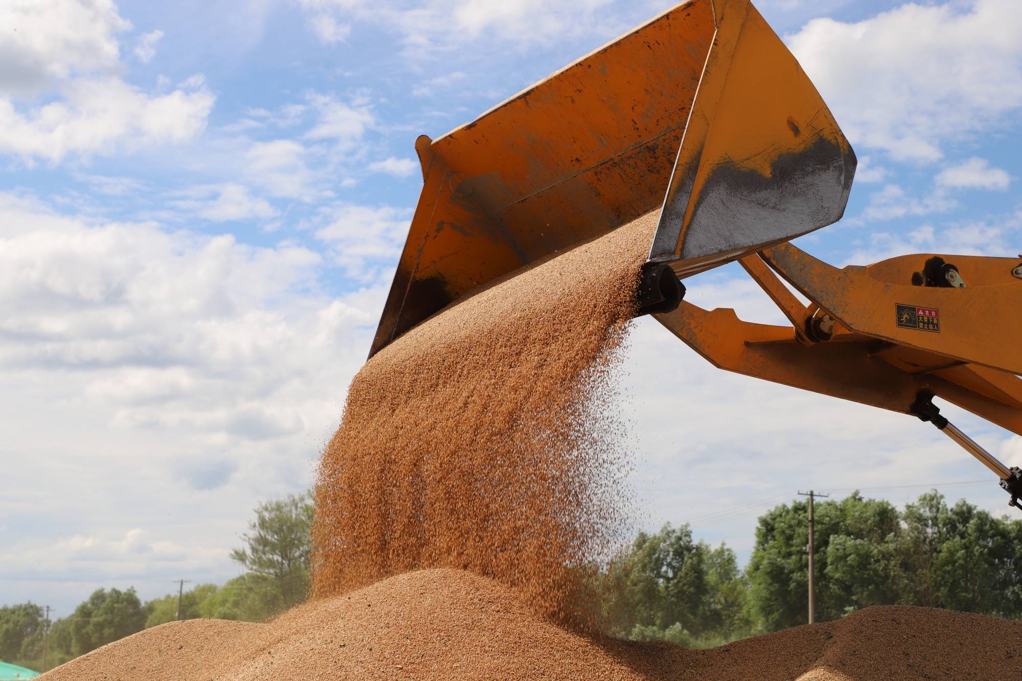 红星农场有限公司:"麦"向丰收 处处好"丰"景_小麦_工作_作业