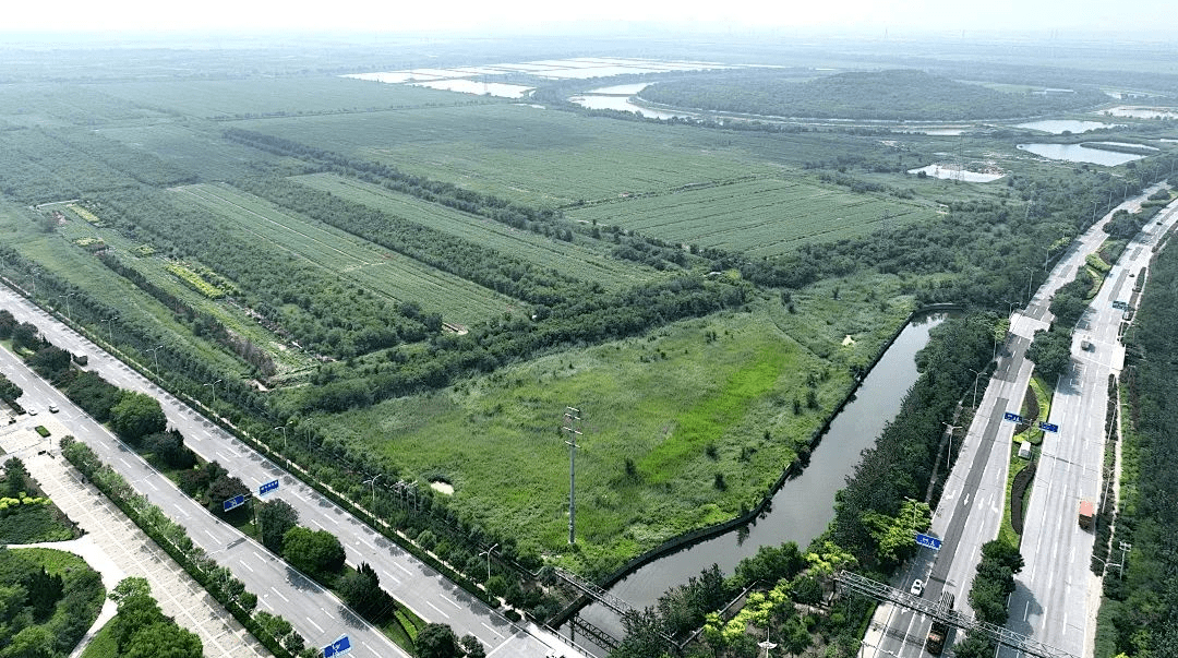 约3930亩土地焕发新活力 天津经开区打造宜居宜业绿色新城_农地_项目_产业园区