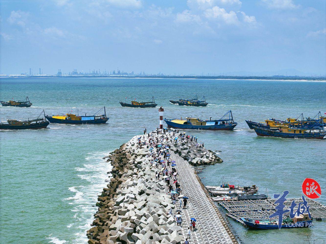 粤东神泉港热闹欢腾_陈宏鑫_上岸_生活