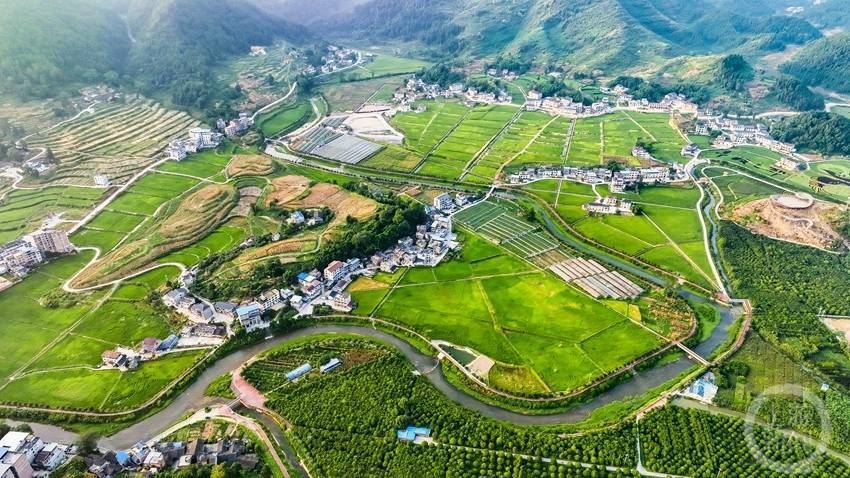 风吹稻花香 高标准农田彩稻丰收在望_包鸾镇_改造_丰都县