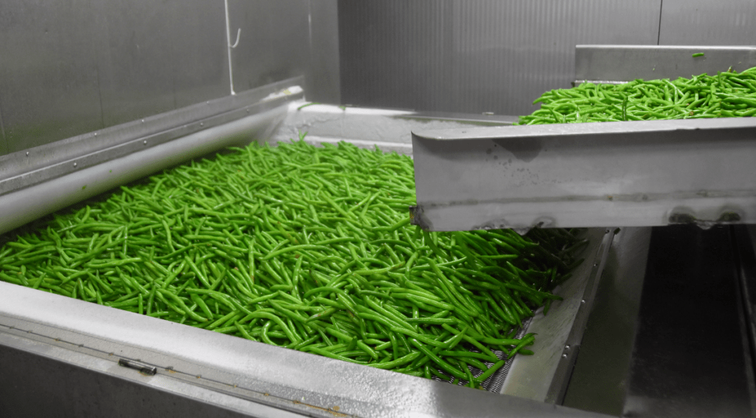 走进位于小纪镇大泊子村的海洋食品有限公司车间,一片热火朝天的生产