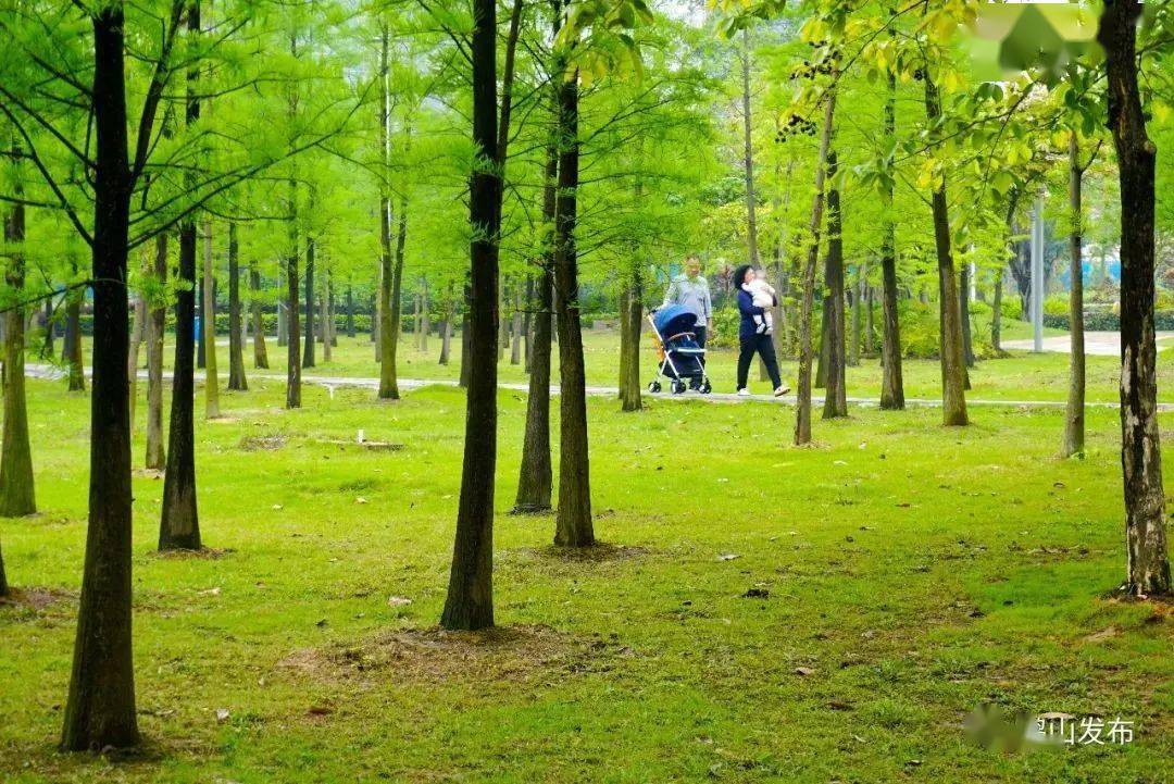 杜阮叱石风景区泉水_叱石风景区_风景区石碑图片