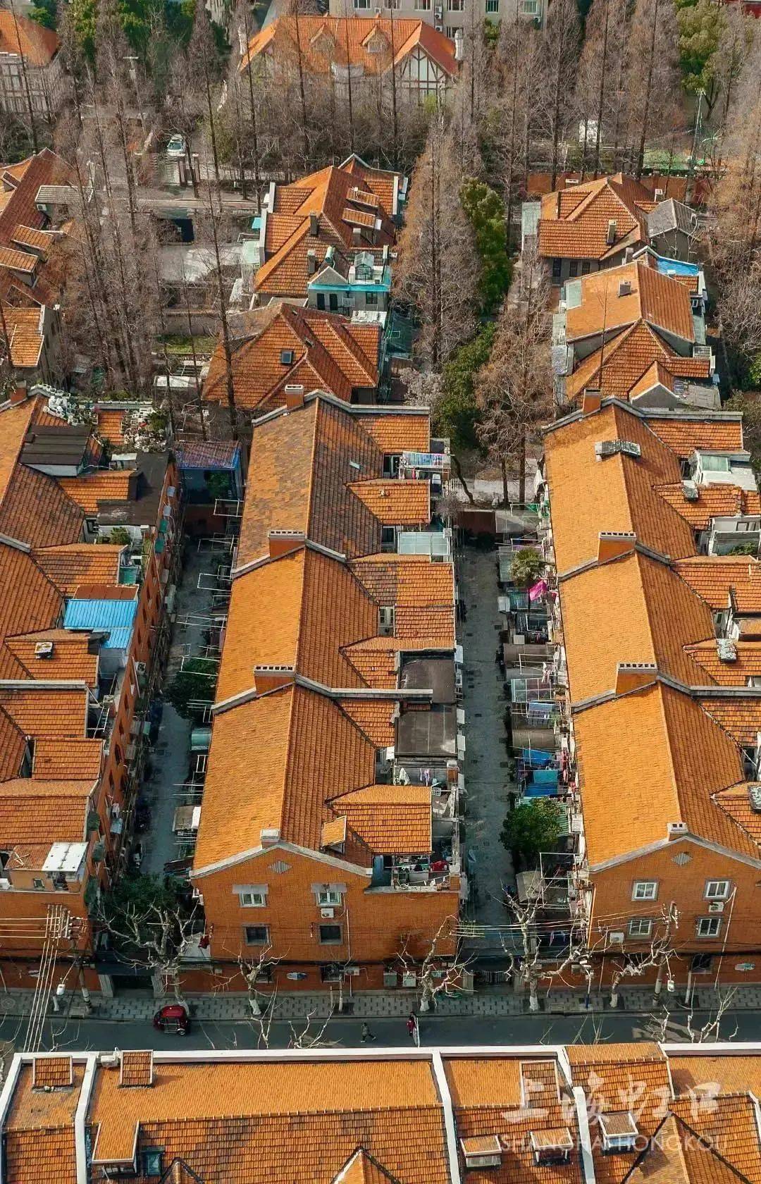 上海鲁迅故居景点介绍图片