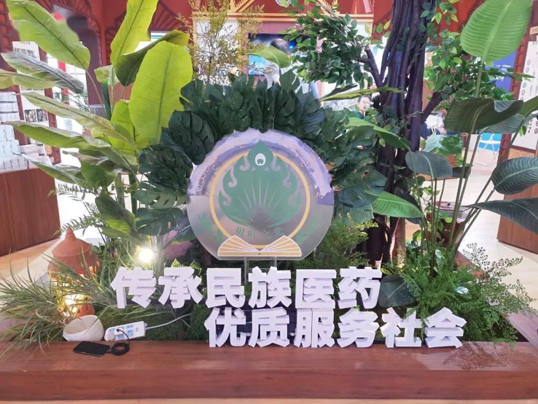 西双版纳傣医药"走红"南博会