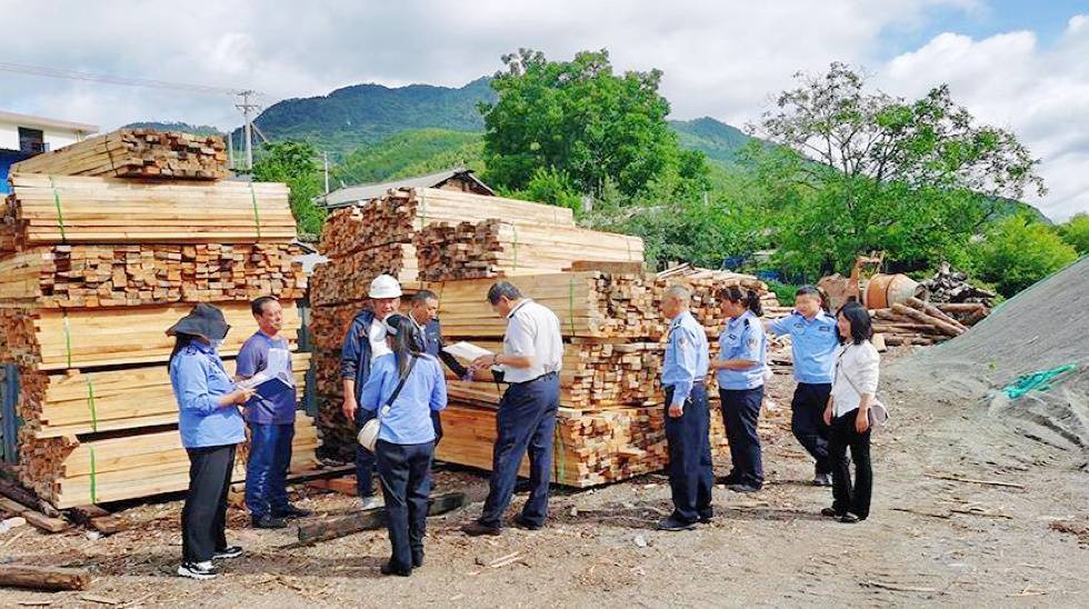 兰坪森警开展盗伐滥伐林木违法犯罪集中整治_行动_林区_重点