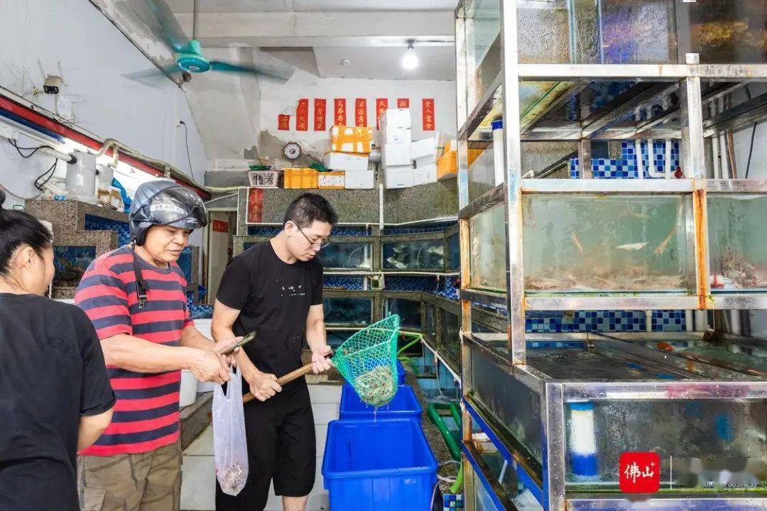 老板:预计一周后,能更便宜_水产市场_市民_价格