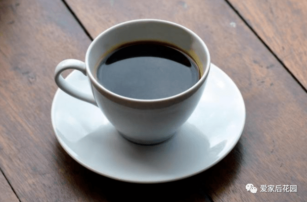 咖啡爱好者必看!一文读懂"如何选完美咖啡伴侣"_自动_进行_功能