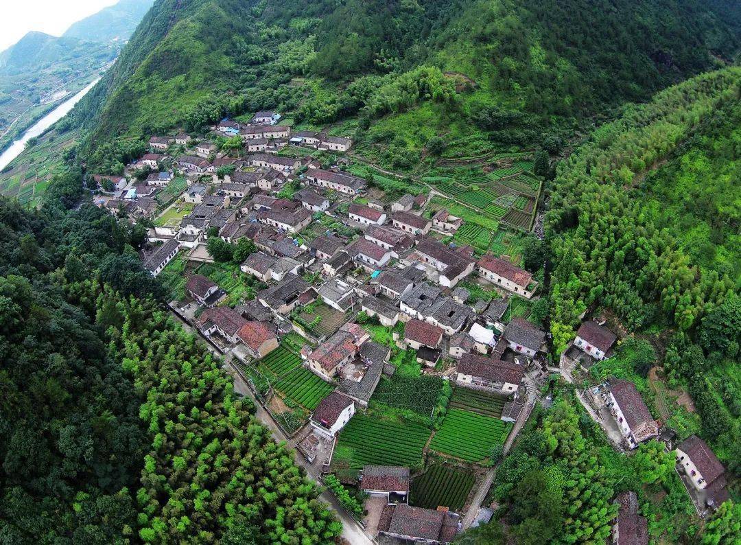 "艺术乡建"在遂昌!千年古村焕发新活力_独山村_文化_实践