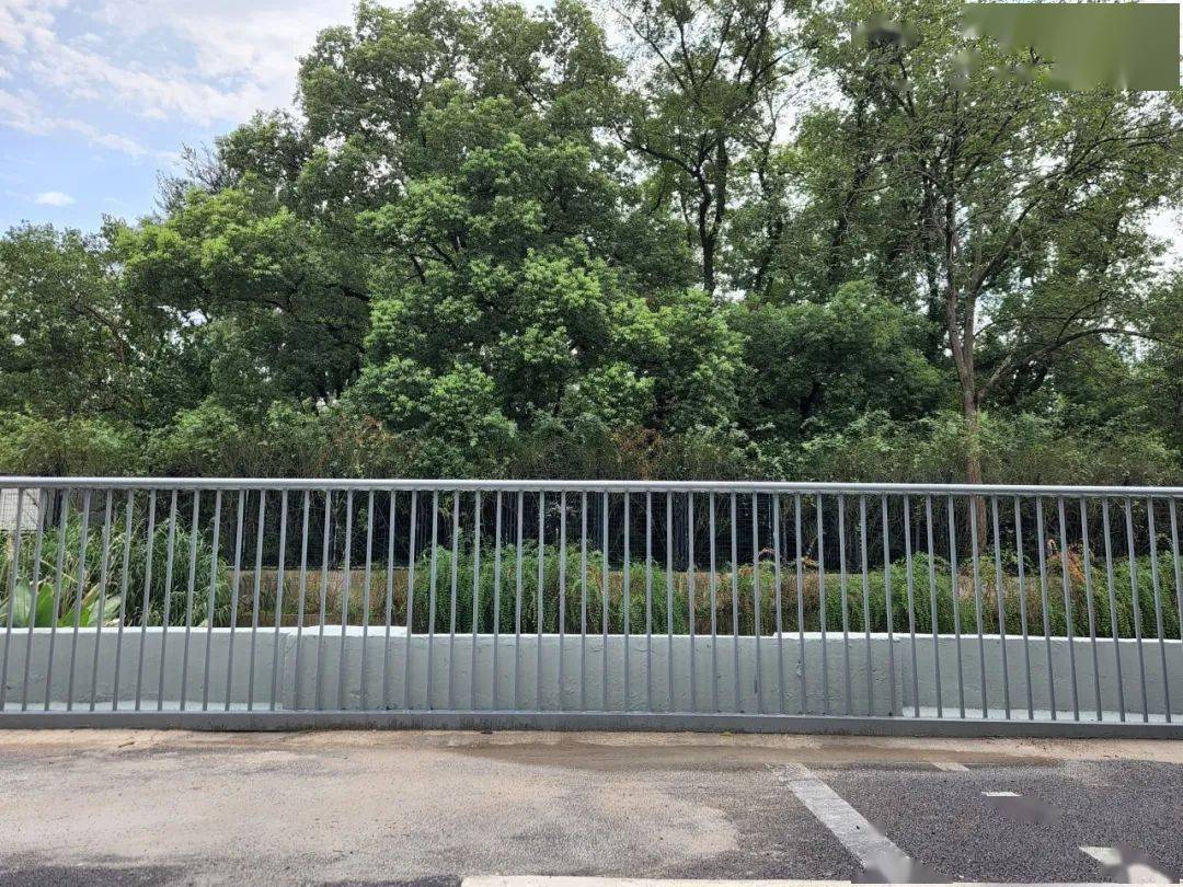 精品小区改造丨"破墙透绿"微改造,凭栏远眺心通透_程家桥街道_河道