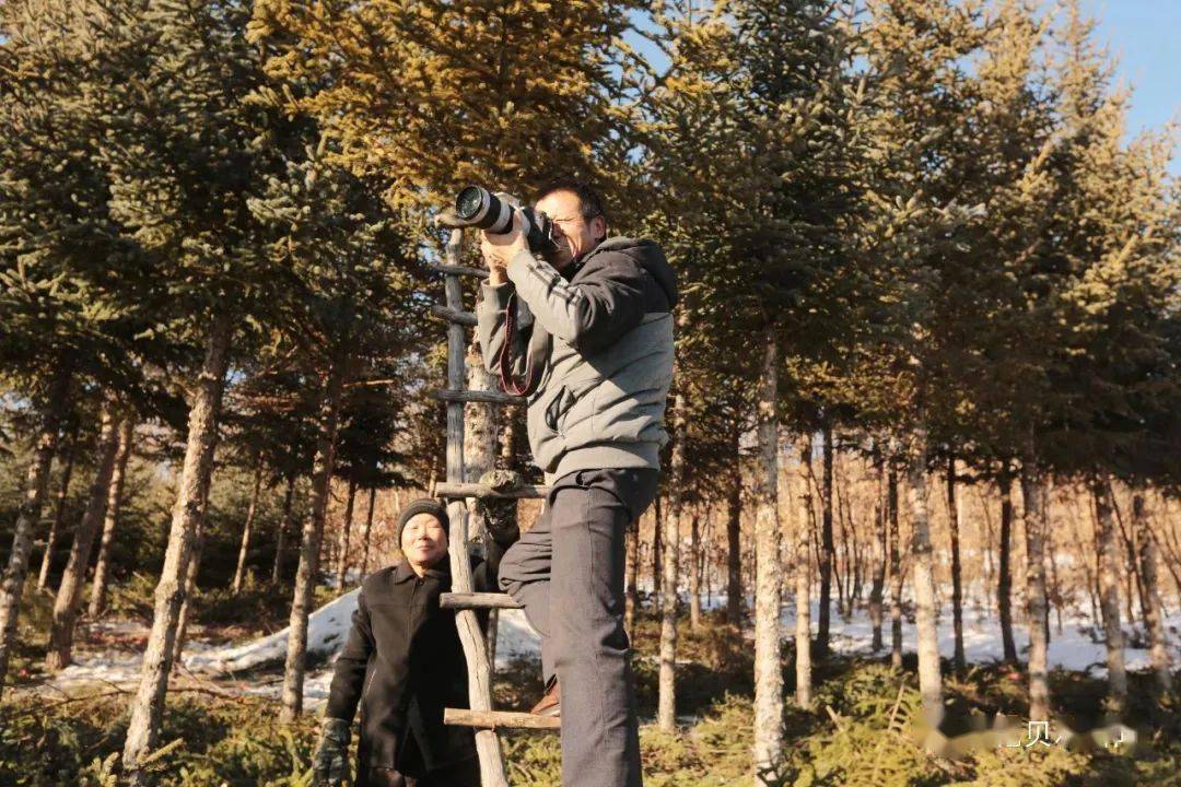 "北疆楷模"李振海②|我的榜样李振海_绿化_生态_土地