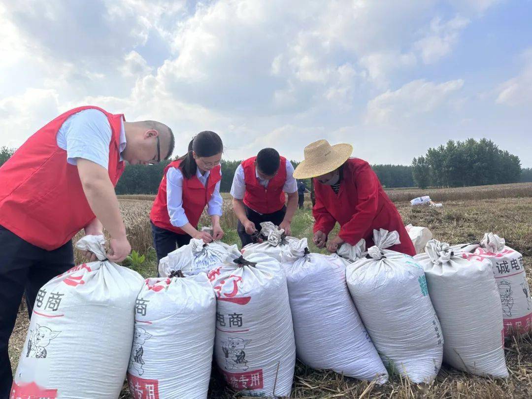 摄影:珠玑所 刘力维摄影:岳口所 胡俊敏摄影:珠玑所 程艳芳摄影:吴店