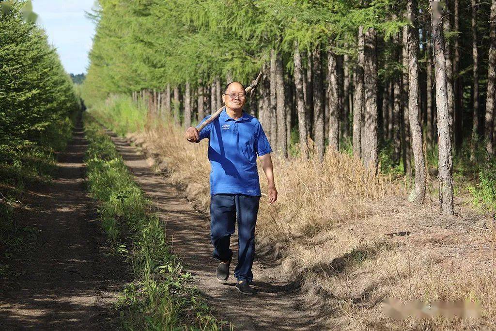 "北疆楷模"李振海③|我眼中的父亲_树枝_母亲_荒山