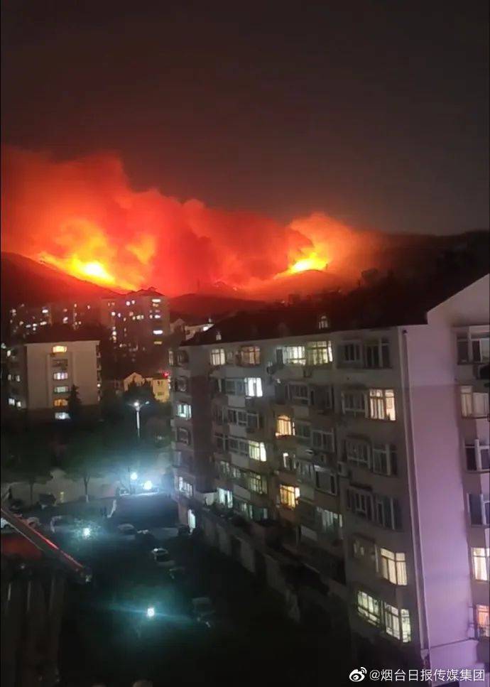 嫌疑人已被刑拘_火灾_森林_扑救