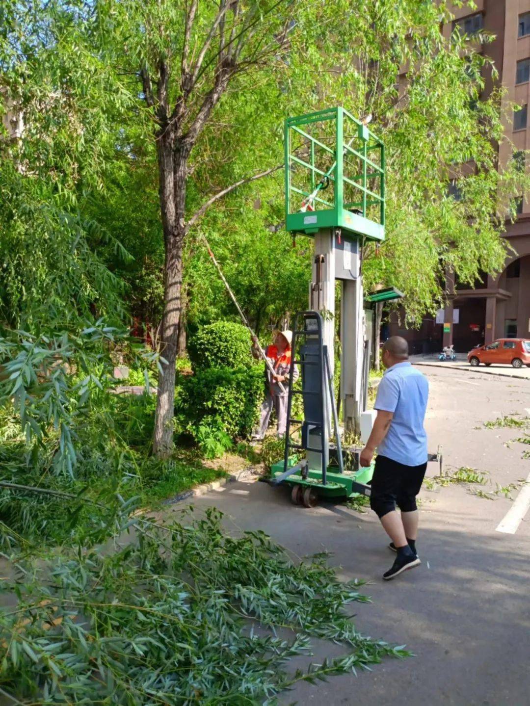 帝华·水岸华苑物业|精心修剪绿化树木,扮靓园区优美环境_进行了_人员