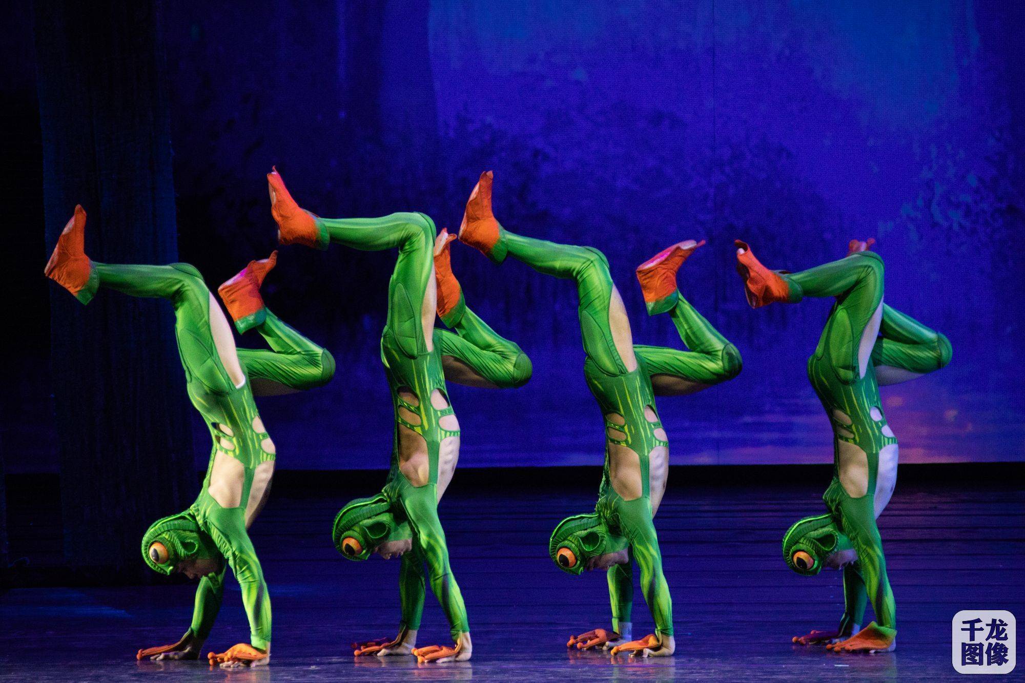 新版杂技芭蕾剧《天鹅湖》进京首演成功_演出_艺术_北京