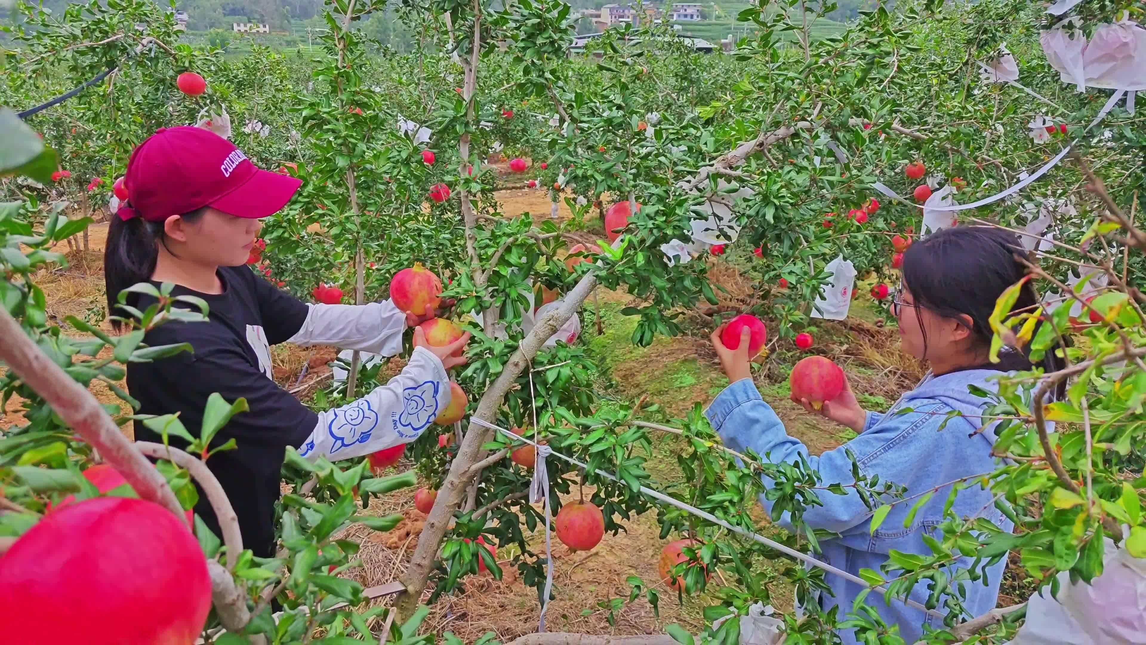 大姚县龙街镇秀水河图片