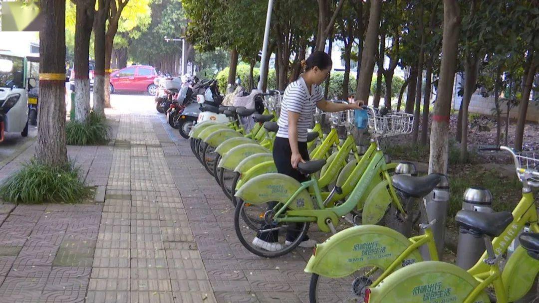 因服务器升级改造 "小绿"将暂停使用