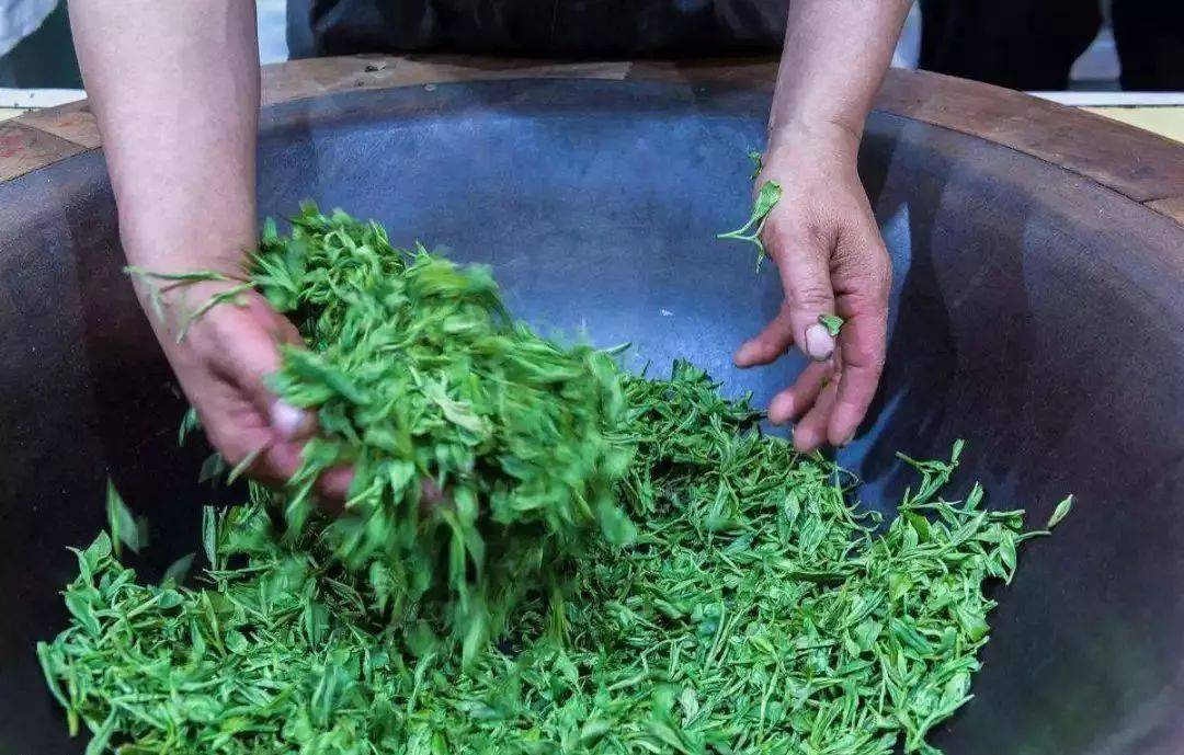 茶叶_黄茶_加工