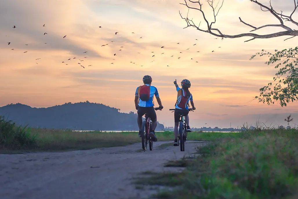 梦境之旅，与好友共骑，探索心灵深处的欢乐与自由