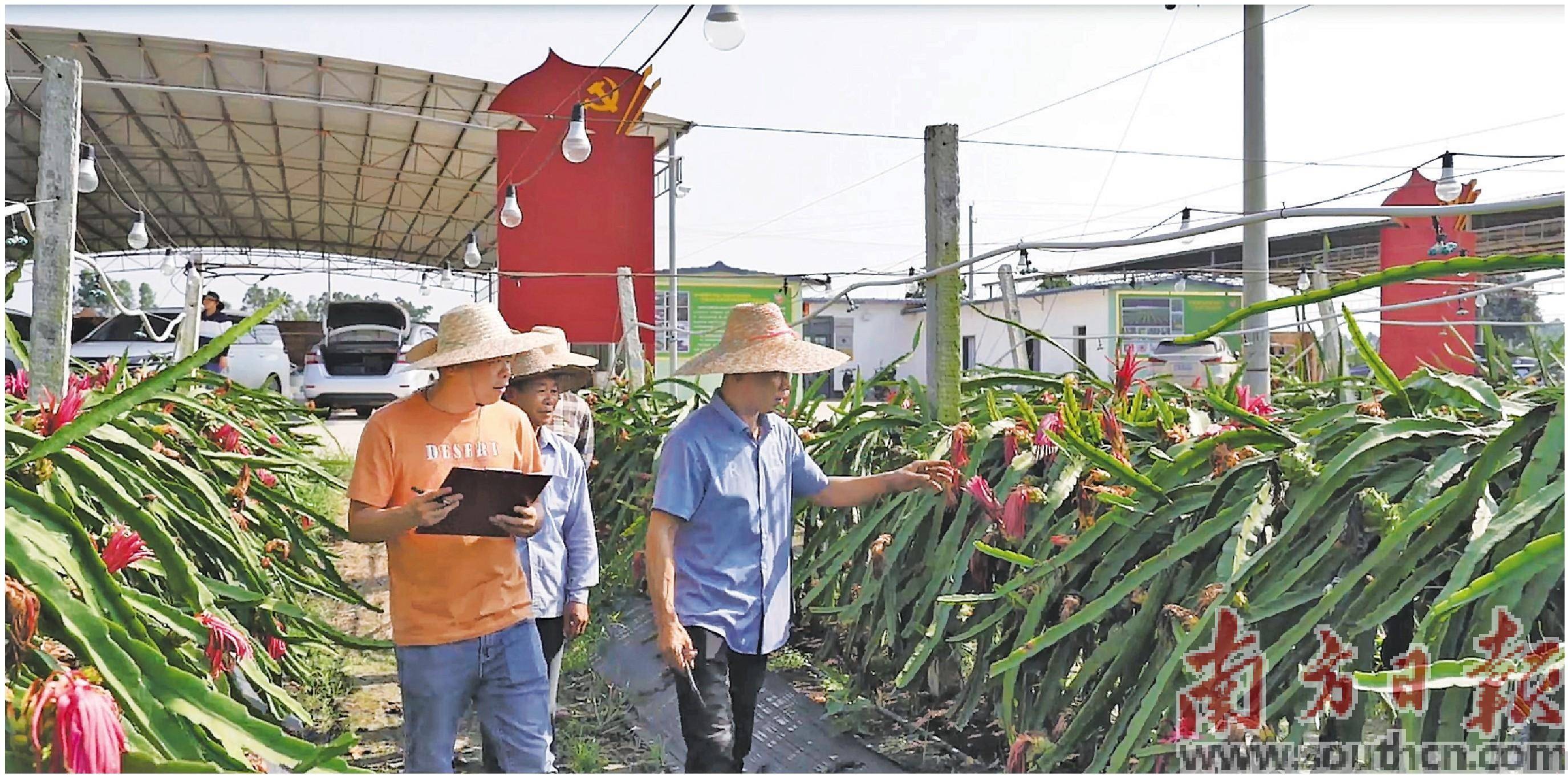 “三资”云平台释放土地红利