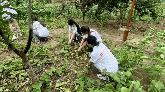 传承文化薪火 做新时代好青年|我院经济贸易系组织开展青年大学生暑期