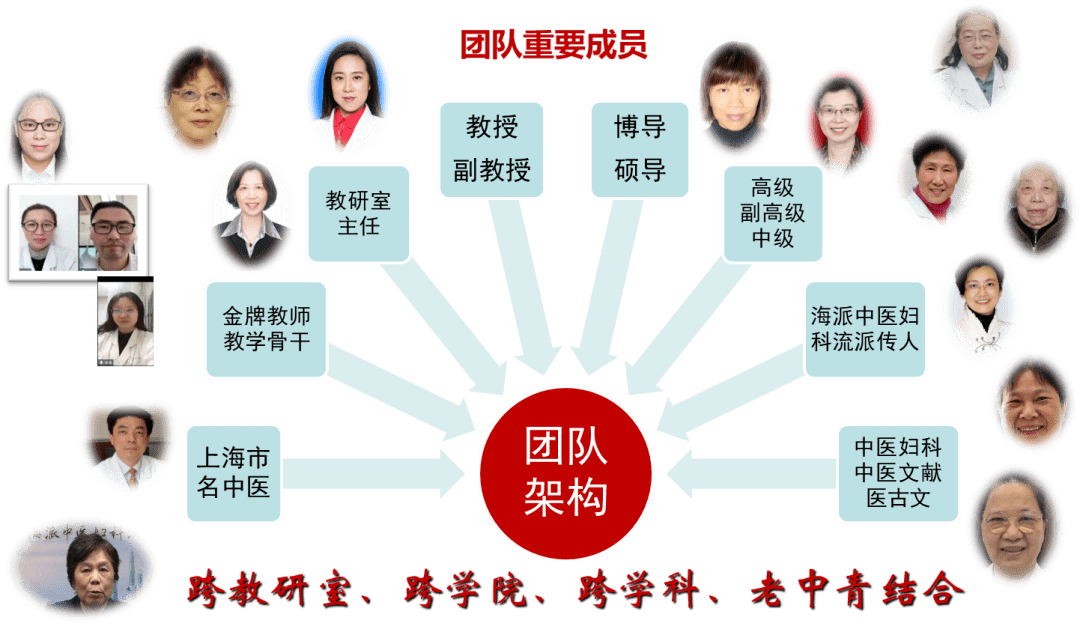 教学团队建设 来自搜狐网