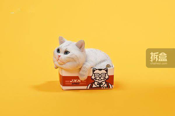 0 网红可爱橘猫懒猫宠物摆件手办_出货_官方_纸盒