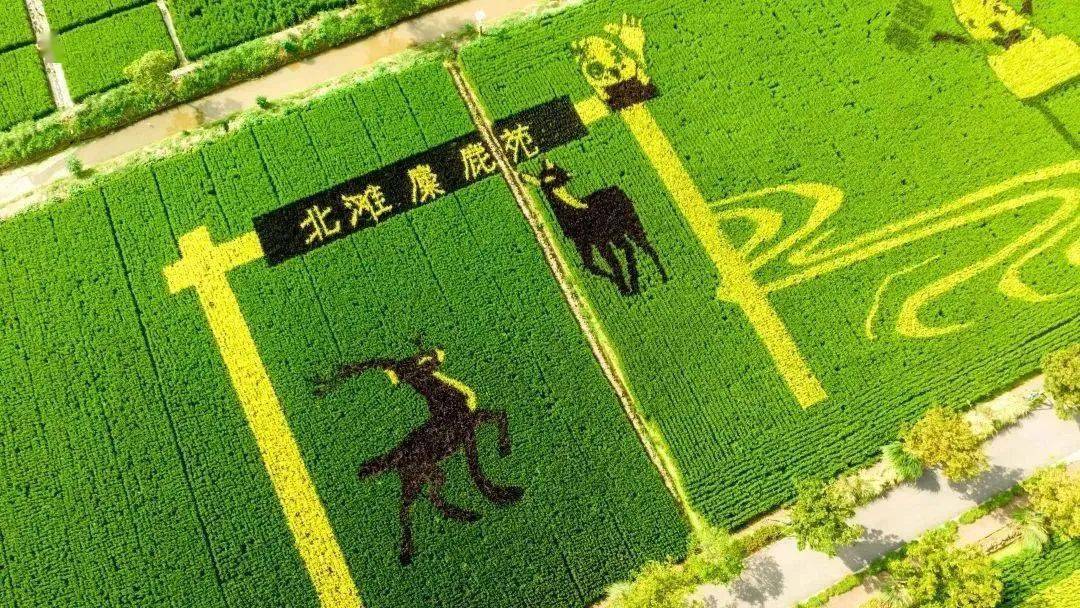 俞孔坚入选中国工程院院士增选名单;2023年asla大奖重磅公布 | 园林