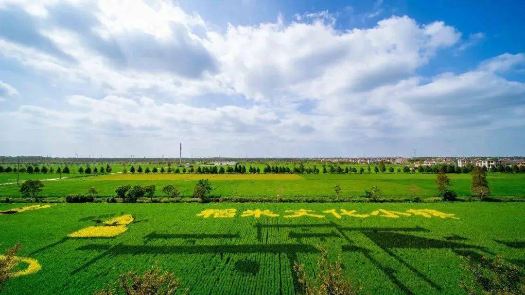 俞孔坚入选中国工程院院士增选名单;2023年asla大奖重磅公布 | 园林