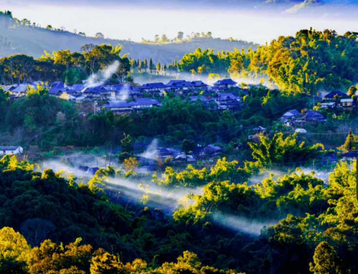 华为南糯紫 是勐海南糯山的紫!_勐海县_西双版纳_品牌
