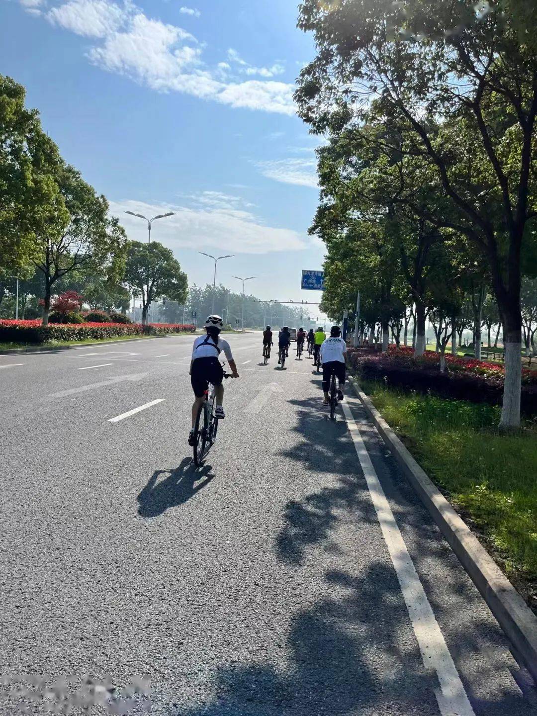 万顷巢湖气势浩荡,环巢湖大道肥西段因靠近三河古镇和三河国家湿地