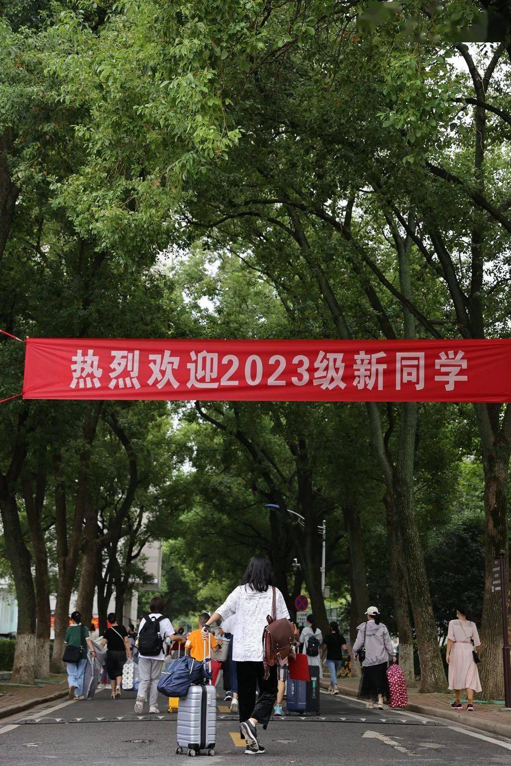中南财经政法大学,我们来了!_新生_迎新_工作