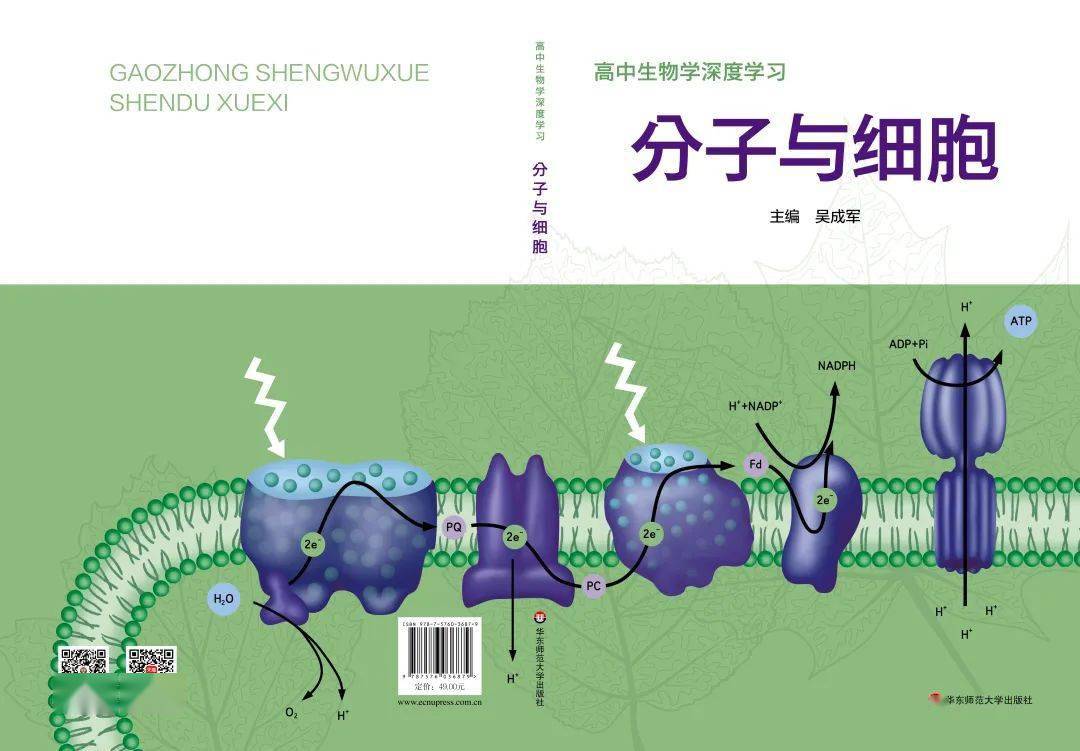 开学福利：每人一本《高中生物学深度学习》（20本免费送）_平台_教材_学科