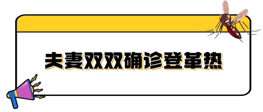 小心！国内已检出多例，有夫妻双双确诊 传播 伊蚊 我国