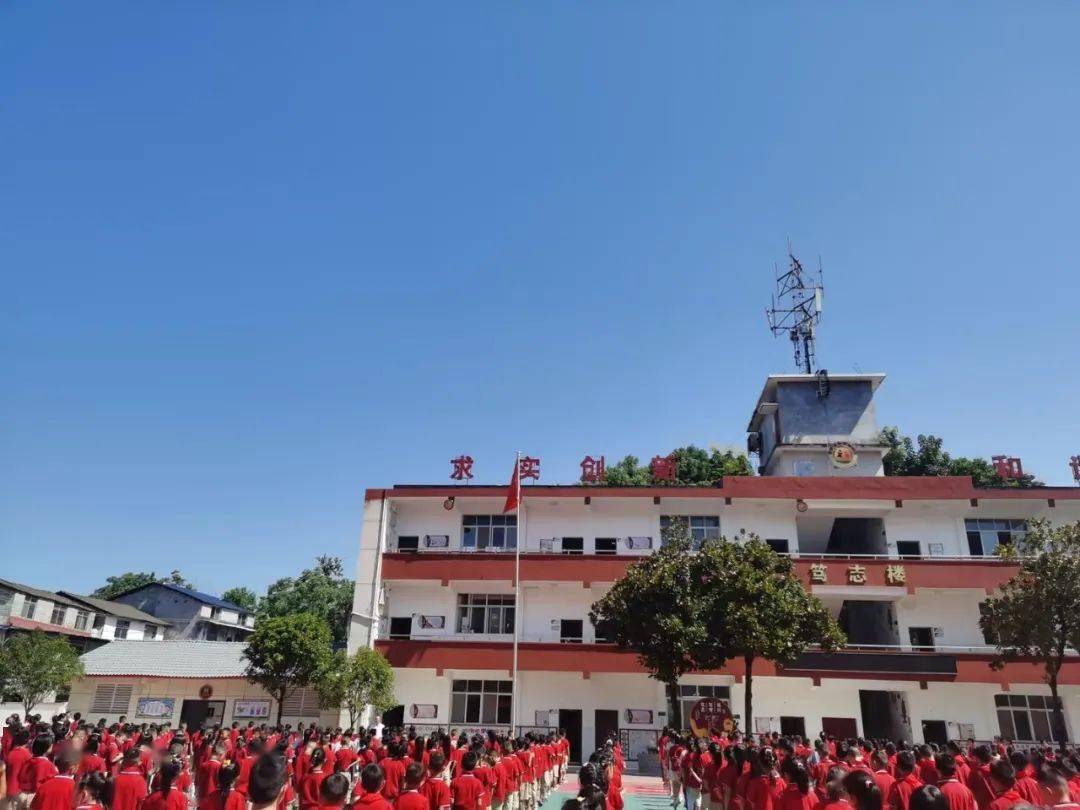 三岔镇茅坝小学学生们兴高采烈地从校门口的红毯走进校园.