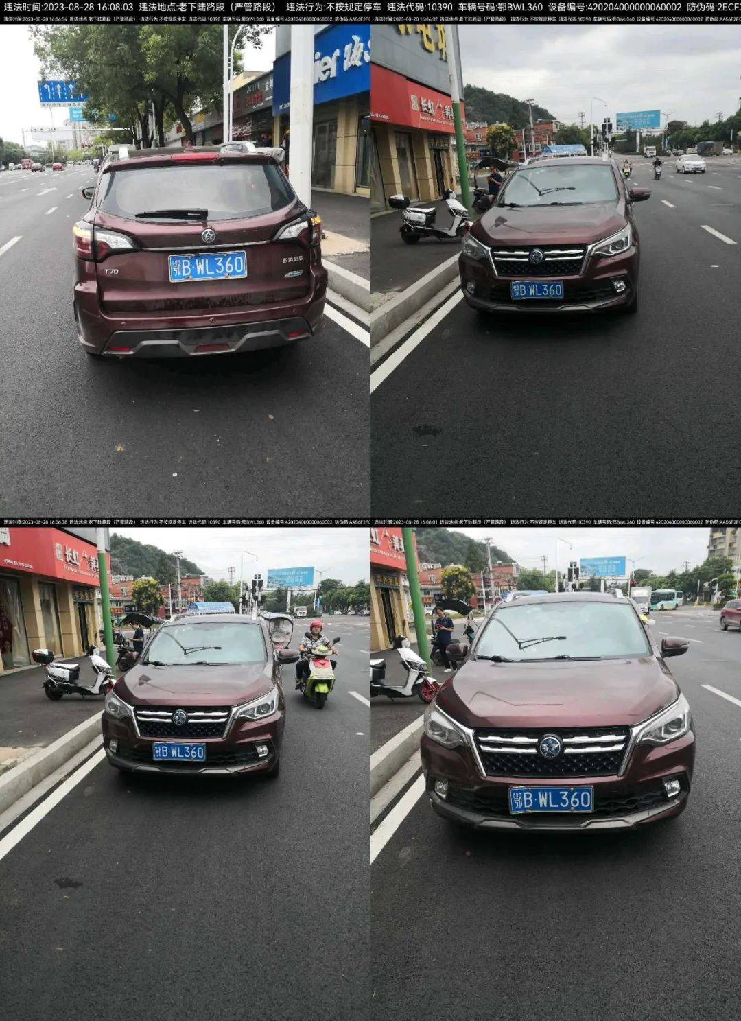 路段_车牌_地点